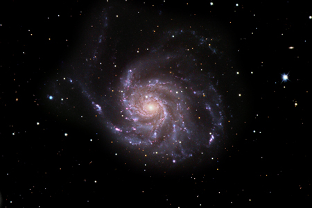 M101- Pinwheel Galaxy