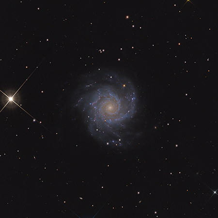 M74