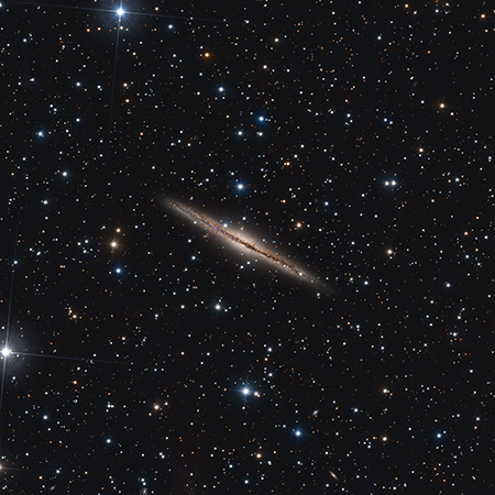 NGC 891