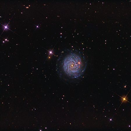 NGC3344