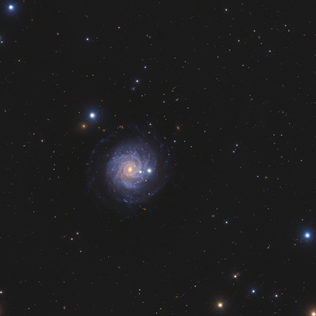 NGC3344