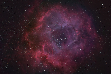 Rosette Nebula